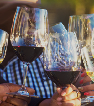 Sip & Speak at The Wine Bottega